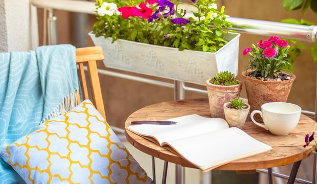 Balkonda yetiştirebileceğiniz bitkiler