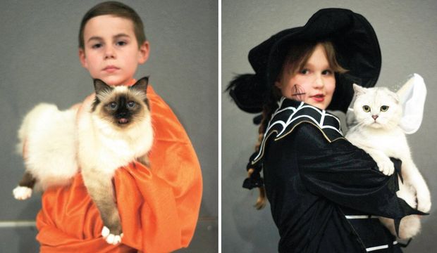 Kediler Almanya’da görücüye çıktı!