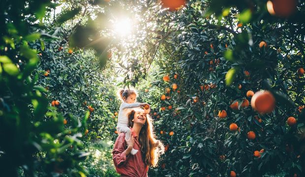 Anne olmanın sağlığa faydaları...