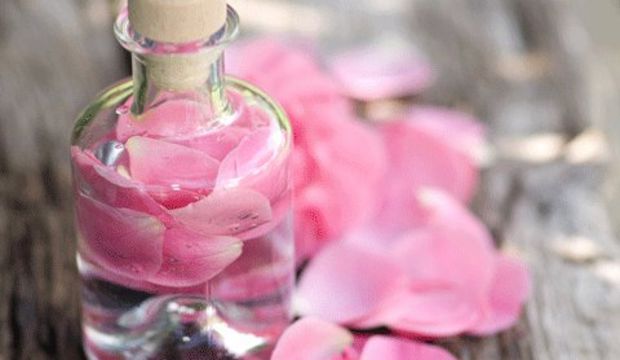 Gülsuyunun bilinmeyen etkisi: Hafızayı güçlendiriyor!