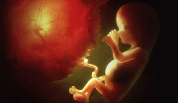 Bir porsiyon plasenta!