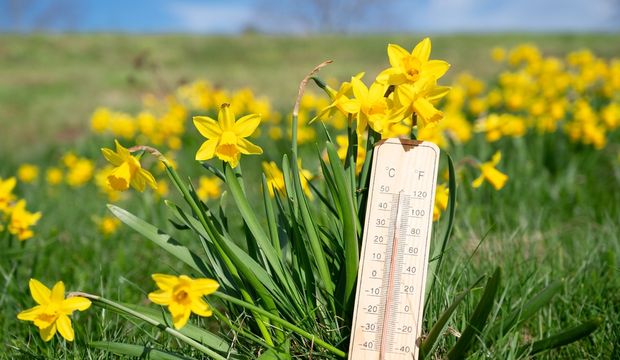 Sıcak havalarda serinlemek için yapılması gerekenler...