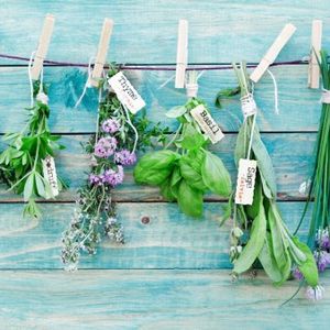 Çamaşır mandalları ile neler yapabileceğinizi biliyor musunuz?