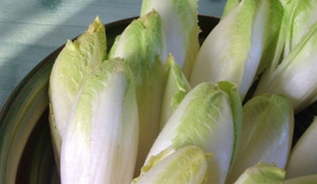 Kara hindibanın beyaz kuzeni...