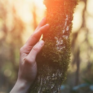 Her rüzgarda savrulmayın!