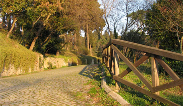 İstanbul parkları...