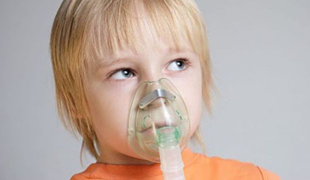 O yaşamın içine girmeniz an meselesi!