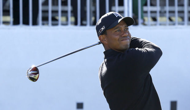 Tiger, 7 bin dolarlık villada...