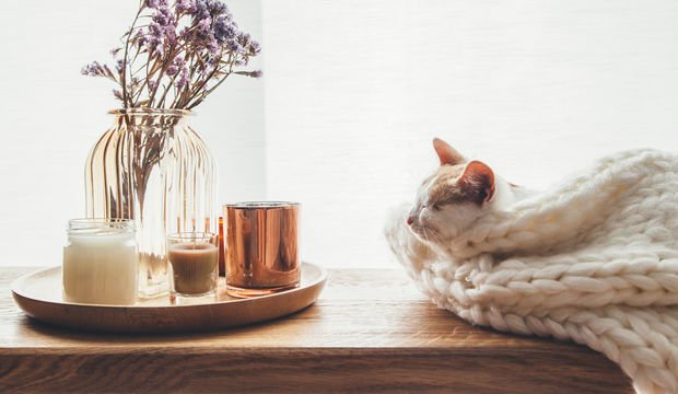 Pazartesi sendromuna son veren hafta sonu önerileri