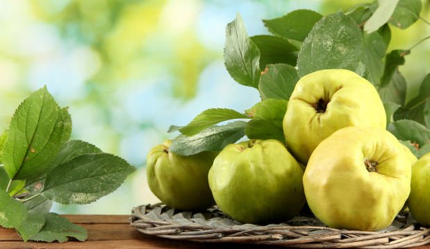 Ayvanın faydaları nelerdir?