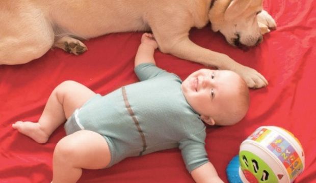 Teknoloji korkunuzu bu ürünler yenecek.