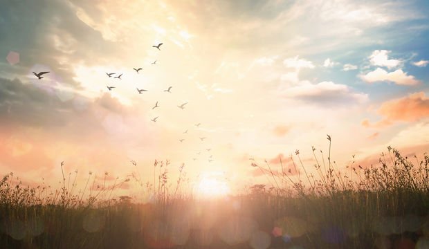 Güzel bir gün için yapmanız gerekenler