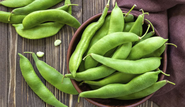 ‘Fasulye kanserin yayılmasını önlüyor’