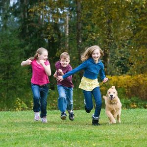 Televizyon ve AVM çocuk parkına karşı! 