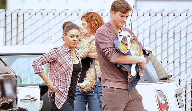 Köpekleri için hastaneye koştular