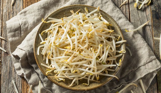 Bitkisel protein kaynakları