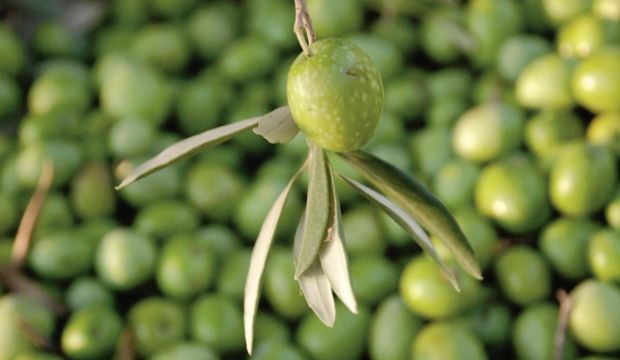 İmar durumu: Katli vacip