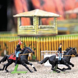 Pembe beyinler, mavi beyinler