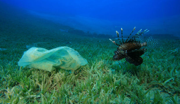 Plastik atıklar sağlığımızı böyle tehdit ediyor!