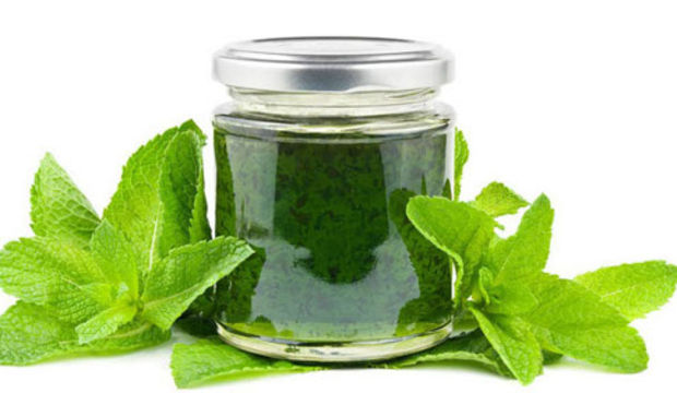 Okurun mutfağından: Nane reçeli