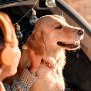 Köpek sahiplenmek için 13 neden