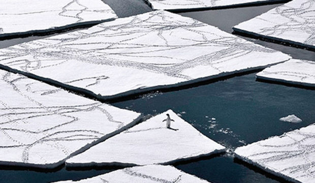 Temiz kalan son okyanus: Ross Denizi