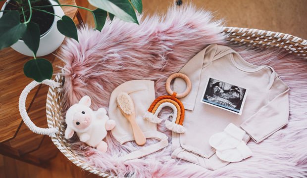 1. Trimester ne demek?