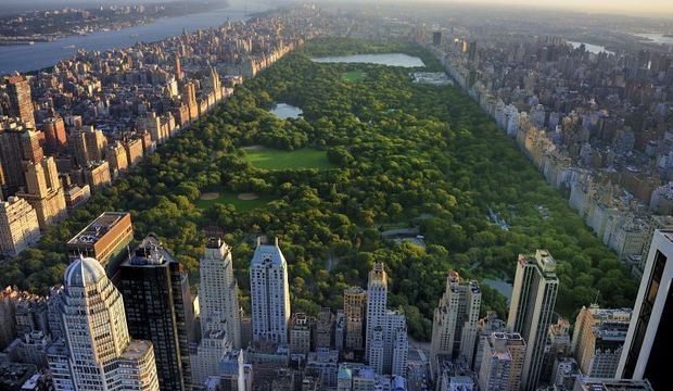 Şehir parkları akıl sağlığını olumlu etkiliyor