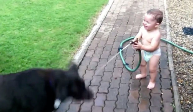 Bebekleri kahkahalara boğan köpekler