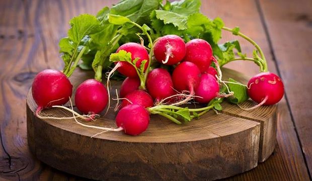 Kırmızı turpun faydaları