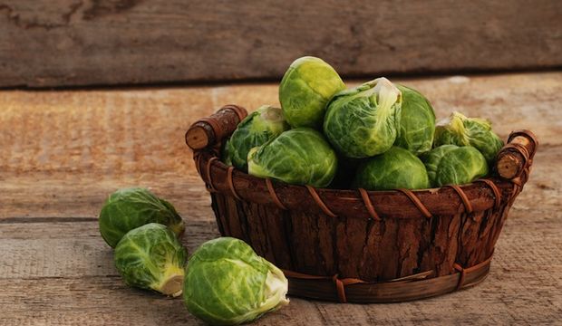 Bruksel Lahanasinin Faydalari Saglik
