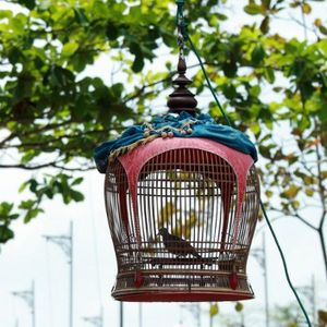 Saksı, abajur, ayna... Hepsi kuş kafesinden...