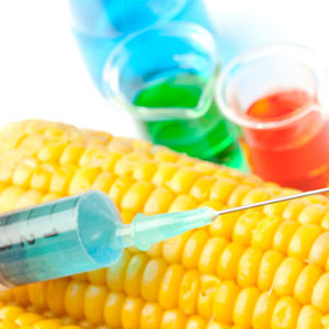 İki ileri bir geri GDO