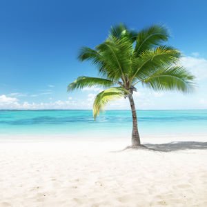 Cennetin keşfi: Karayip Adaları