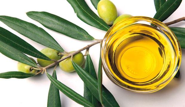 Zeytin yaprağıyla detoks yapın