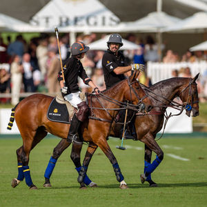 Nacho Figueras: ‘Polo, atla bir takım çalışması’