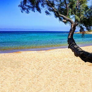 Thassos adasında bir tatil macerası