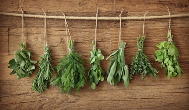 Kilo verirken yemeniz gereken 5 yiyecek