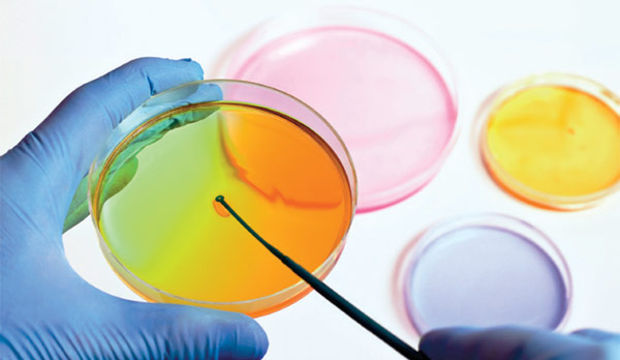 Kök hücre ile kalıcı güzellik