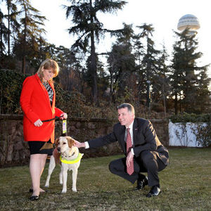 Türkiye'de rehber köpekler yetiştirecek!