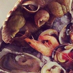 Mini Brüksel rehberi