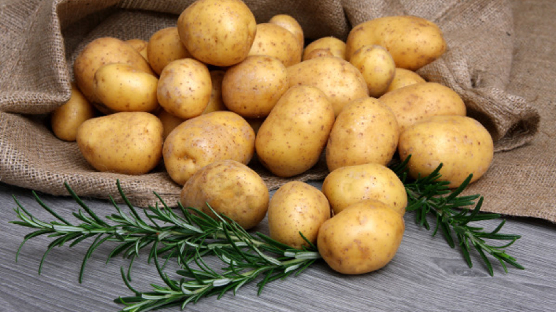 Картофель первого урожая. Сорт картофеля Латона. Картофель сорта Латона семенной. Картофель семенной Импала. Сорт картошки Агрия.