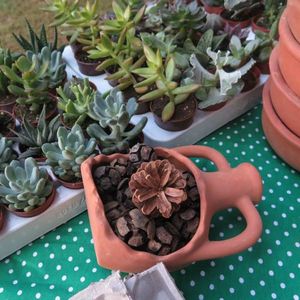 Başka türlü doğum günleri