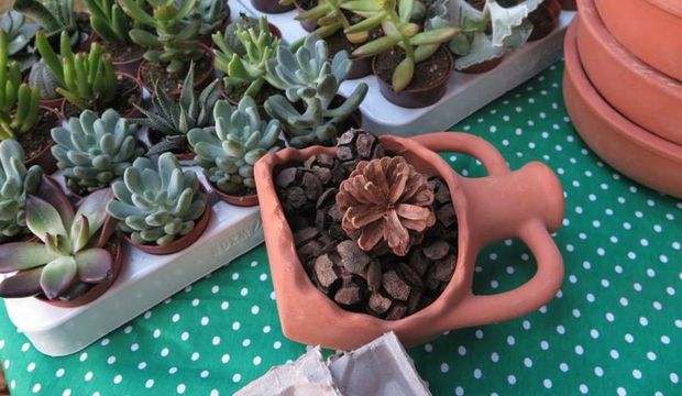 Başka türlü doğum günleri