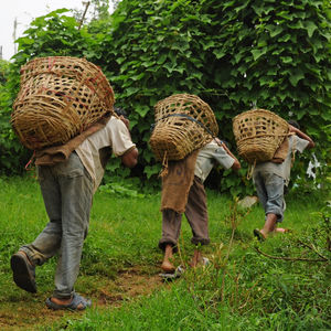 Çocuğunuz sizin yanınızda çalışabilir mi?