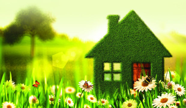 Evimin enerjisini nasıl temizleyebilirim?