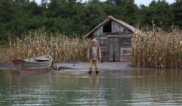 Oscar'ın yabancıları