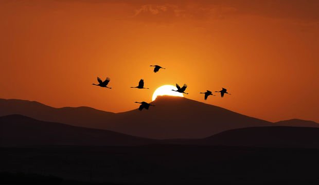 Hayatınızda yeni bir sayfa açmanın 7 yolu