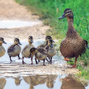 Anne babalık tutumunuz çocuğunuzu şekillendiriyor
