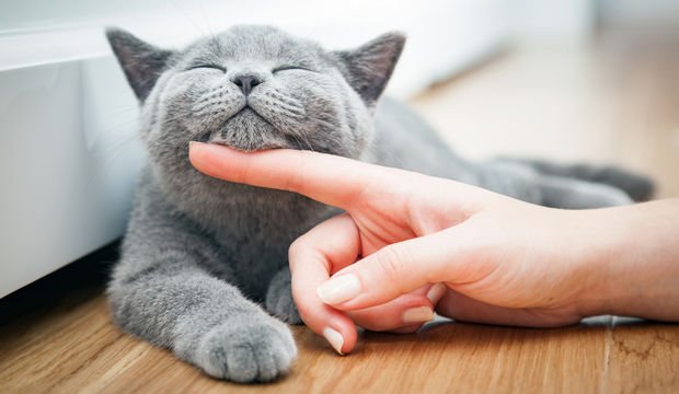 Mutluluğun sırrı nedir?